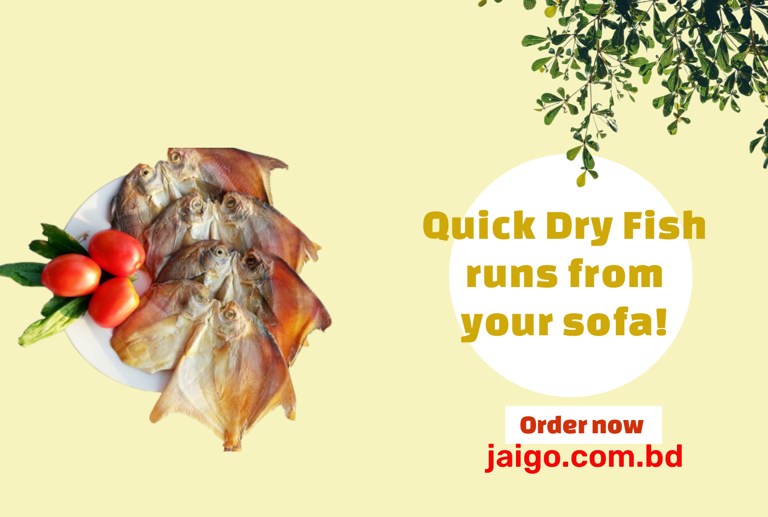 jaigo.com.bd-jaigo Shop promo